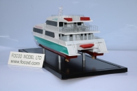 customized model of 29米双体渡轮